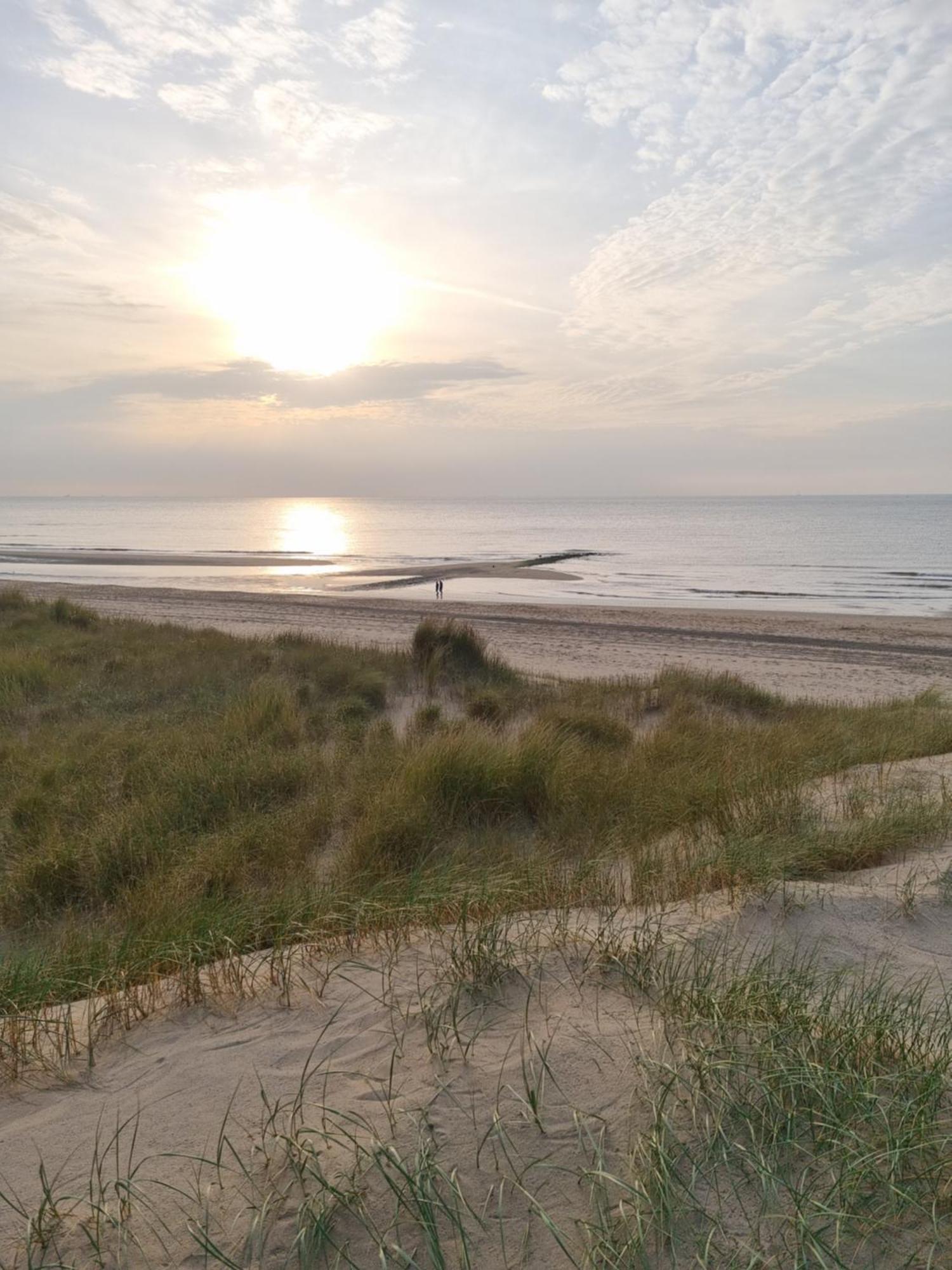 Meerblick Wattenmeer ,50M Vom Meer,Strand 300M Westerland Eksteriør billede